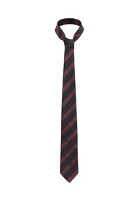 Cravat din mătase cu un model în dungi în nuanțe de gri închis, roșu și negru. Textură netedă, cu vârf ascuțit și un nod înfășurat.