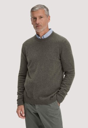 Mann mittleren Alters mit grauen Haaren, der einen dunkelgrünen Pullover über einem hellblauen Hemd mit Kragen und graue Hose vor schlichter Hintergrund trägt.