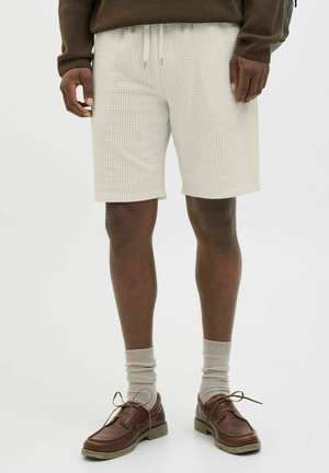 JPSTJAIDEN MAY JOGGER - Jogginghose - moonbeam
