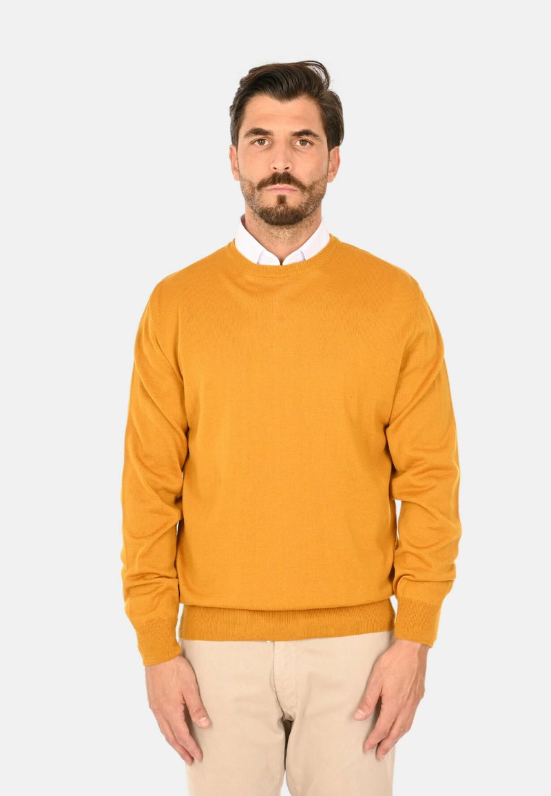 Maglione a maglia giallo senape con maniche lunghe e colletto rotondo. Presenta una texture liscia e un orlo a coste. Indossato sopra una camicia con colletto.