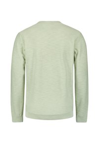 Lichtgroene trui met ronde hals, lange mouwen, ribgebreide manchetten en zoom, met een gladde textuur en een subtiel gemêleerd patroon.