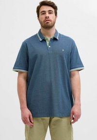 Polo shirt in donkerblauw met groene kraag, witte streepaccenten op de mouwen en een klein logo op de borst. Katoenen stof, ontspannen pasvorm.