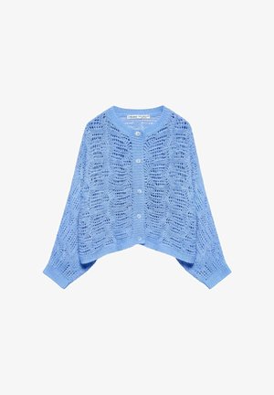 Lichtblauwe gebreide cardigan met ajourpatroon, lange mouwen, knoopsluiting en geribbelde boorden en zoom.