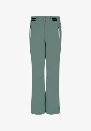 Protest, PROTEST SNOWPANTS - Pantaloni da sci - evergreen