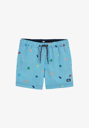 Zilas un baltas svītrainas peldšorti ar krāsainiem izšūtiem motīviem, elastīgu jostasvietu ar melnu aukliņu un mazu logo uzšuvi.