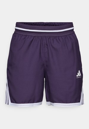 Paarse basketbalshorts met een elastische tailleband, uitgerust met witte netdetails. Bevat zijkanten met strepen en een logo aan de onderkant van de voorkant.