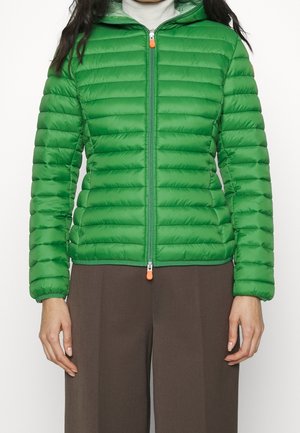 Winterjas - green