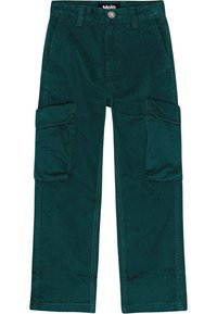 Vihreät samettiset cargo-housut, joissa on suora lahkeen muotoilu, kaksi sivutaskua ja napitus. Suorastaan sileä pinta, jossa on yksityiskohtainen ompelu.