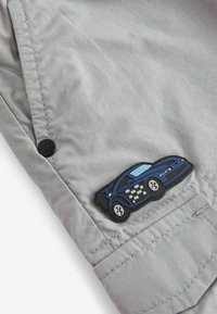 Next STANDARD - Cargo hlače - grey badged