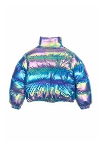 The New PARIS - Zimska jakna - metallic