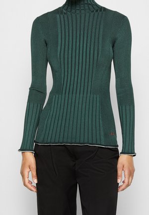 Pull col roulé côtelé vert foncé ajusté avec manches longues porté avec un pantalon noir, visible du cou jusqu'aux hanches.