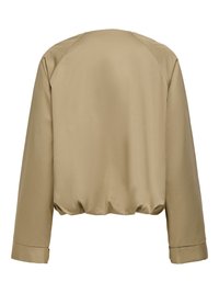 Veste bomber beige à manches longues avec ourlet élastiqué et manches simples avec poignets, vue de dos sur fond blanc.