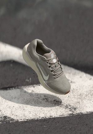 AIR WINFLO 11 - Laufschuh Straße - college grey/sail/vast grey/pale ivory/med brown
