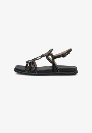 Zwarte platte sandaal met meerdere dunne bandjes, een decoratief schelpdetail bovenop en een verstelbare enkelriem met gesp.