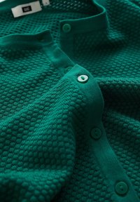 WE Fashion Kofta - green