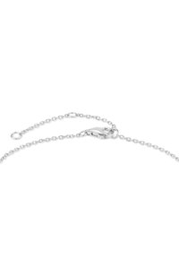 Collana d'argento con chiusura a granchio, caratterizzata da anelli ovali e una superficie liscia. La chiusura è progettata per un fissaggio sicuro.