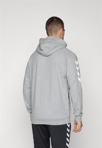 Sweat à capuche gris avec une coupe ajustée, doté d'une capuche à cordon de serrage et de rayures blanches diagonales sur la manche gauche. Texture douce et poignets côtelés.