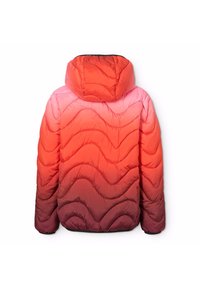Molo HAO - Winter jacket - fiery red