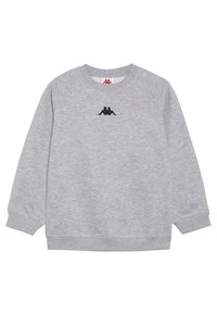 Grijze sweatshirt van zachte stof, met een ronde hals, raglanmouwen en een zwart geborduurd logo in het midden. Lichtgewicht ontwerp.