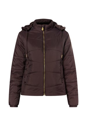 Dunkelbraune Steppjacke mit Reißverschluss vorne, hohem Kragen und verstellbarem Kapuze. Mit vertikalen Nähten und goldfarbenen Hardware-Akzenten.