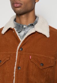 Levi's® TRUCKER - Žieminė striukė - glazed ginger