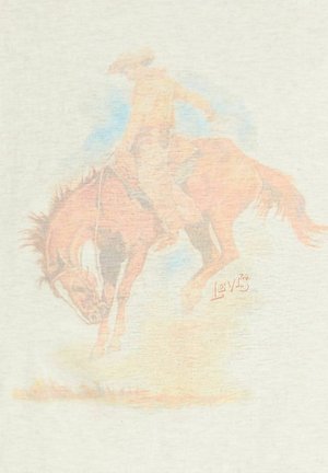 Levi's® BOXY TANK DECO CANYON VIEW SUGAR - Camiseta estampada - western archival fad