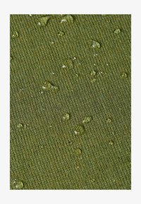 Niet geselecteerd, Olive