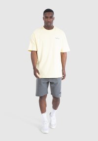 Smilodox NALE TRAINING SHORTS - Korte broeken - anthrazit