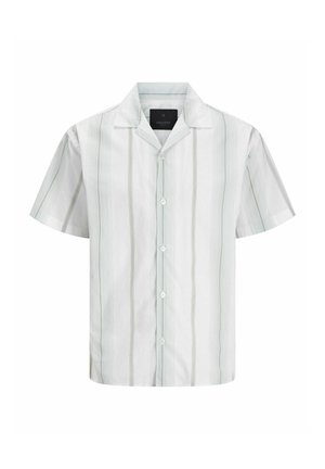 Lühiadeelsaheline särk kergest valgest kangast, millel on vertikaalsed rohelised triibud. Omab kaelust, nööpide eesmist sulgemist ja sileda tekstuuri.