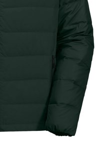Jack Wolfskin ATHER JKT M - Piumino - black olive   firefly