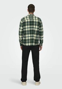 Camisa de franela a cuadros verde y crema con mangas largas, puños de botón y cuello estándar. Combinada con pantalones negros y zapatos claros.