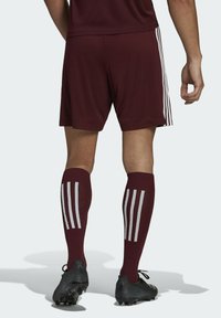 adidas Performance SQUADRA 21 SHORTS - Kurze Sporthose - red