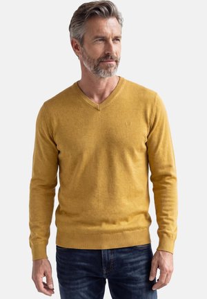 Mann mit grauem Haar und Bart, der einen senffarbenen Pullover mit V-Ausschnitt und dunkelblaue Jeans trägt, vor einem weißen Hintergrund stehend.