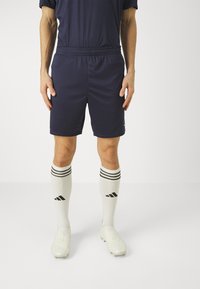 Tumed sportlikud lühikesed püksid elastse vöökoha ja valged sokid mustade triipude ja logoga, lisaks heledat värvi jalgpalliketsid.