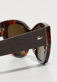 Lacoste Akiniai nuo saulės - havana