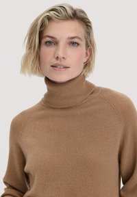 Brauner Rollkragensweater mit geripptem Kragen, gefertigt aus einem weichen, strukturierten Strickstoff, mit Raglanärmeln und taillierter Silhouette.