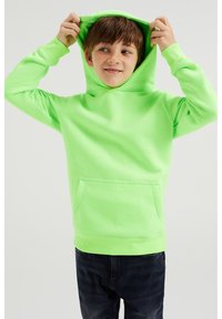 WE Fashion Felpa con cappuccio - green
