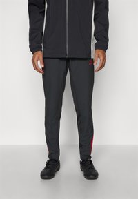 adidas Performance LIVERPOOL FC PANT - Klubové oblečenie - black