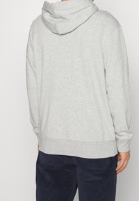 Felpa grigia chiara con cappuccio e vestibilità comoda, con polsini e orlo a costine. Realizzata in tessuto morbido, presenta un design semplice senza motivi.