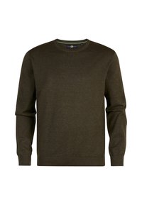 Olive green crewneck sweater, ribbed cuffs and hem, made of soft knit fabric, featuring a plain design without patterns or accents.