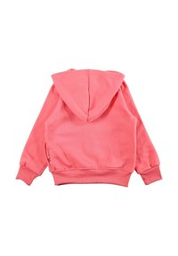 Sweat à capuche rose corail avec une texture douce, doté d'une capuche, de poignets et d'une ceinture côtelés. Le dos présente un design simple sans détails supplémentaires.