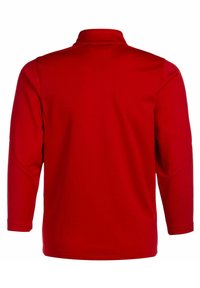 Rode pullover met lange mouwen en een hoge kraag, gemaakt van zacht materiaal. Heeft een gladde textuur en strakke lijnen zonder zichtbare logo's of patronen.