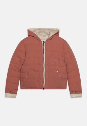 IKKS DOUDOUNE CROP - Winter jacket - beige