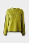 AURA CREW - Trui - lime