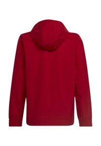 Veste rouge à capuche, tissu léger, poignets et ourlet élastiques, texture lisse, design simple, pas de matériel ou de motifs visibles au dos.