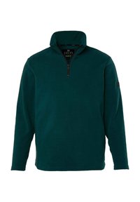 Dunkelgrüner Fleece-Pullover mit einem halben Reißverschluss am Kragen, langen Ärmeln und einem kleinen Logo-Patch am linken Ärmel. Weicher Stoff, entspannte Passform.