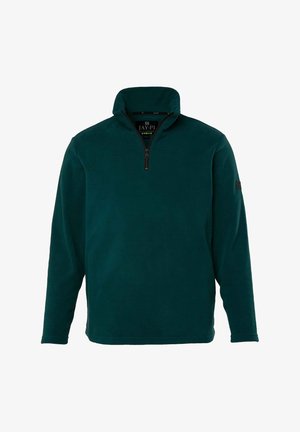Donkergroene fleece pullover met een kraag met halve rits, lange mouwen en een klein logopatch op de linker mouw. Zachte textuur, relaxte pasvorm.