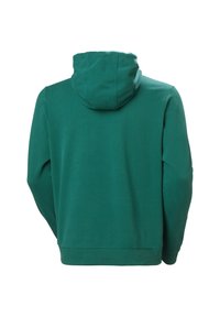 Sudadera verde con capucha, hecha de tela suave, que presenta un corte relajado, mangas largas y un diseño de bolsillo tipo canguro.