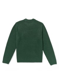 Pull en tricot vert avec un col rond, des manches longues et un ourlet côtelé. Texture douce et finition lisse sans motifs ni accents visibles.