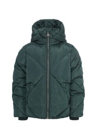 Donkergroene gevoerde jas met capuchon, met een gestikte ontwerp, rits aan de voorkant en geribbelde manchetten. Glad, glanzend oppervlak.